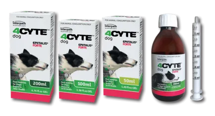4Cyte Epiitalis Forte Dog 100ml