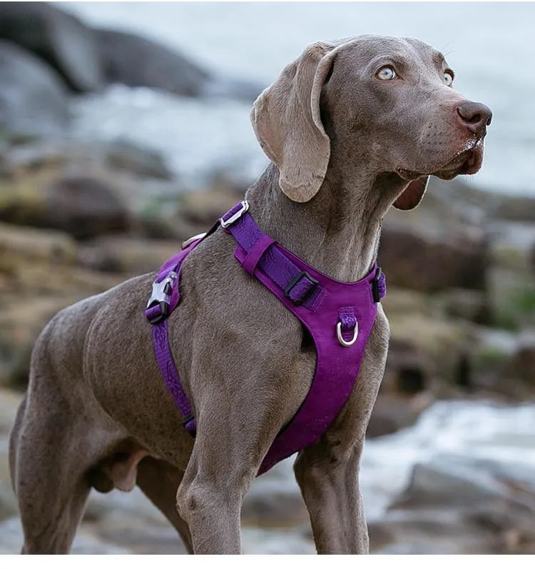 Adjustable Dog Harness Light Weight Various Sizes