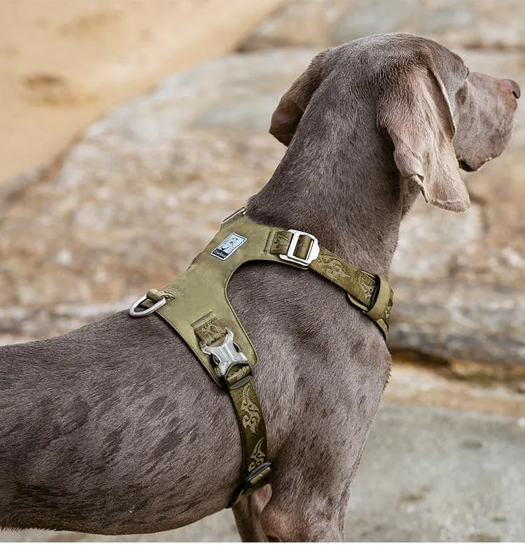 Adjustable Dog Harness Light Weight Various Sizes