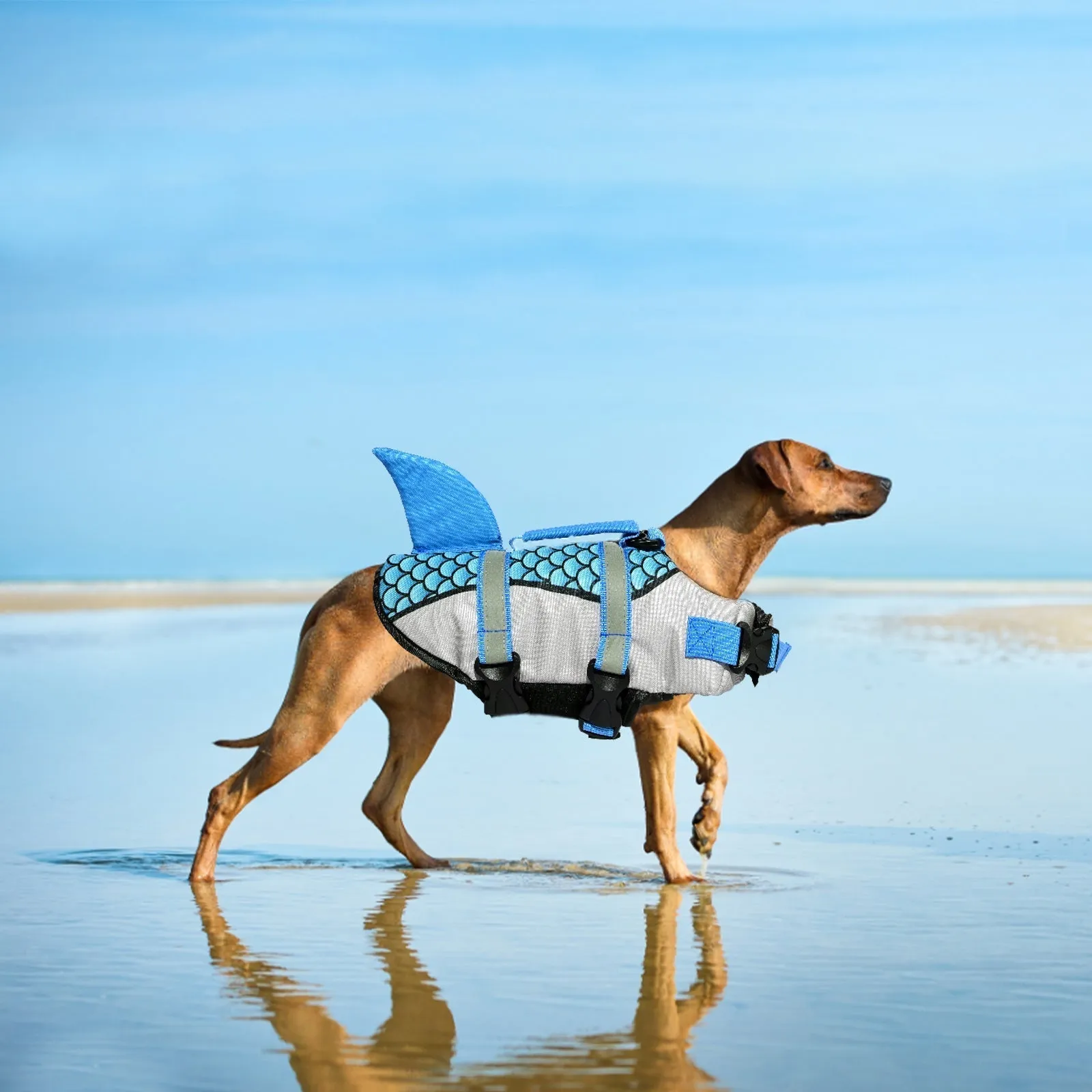 Aiitle Adjustable Shark Dog Life Vest with Rescue Handle Gray