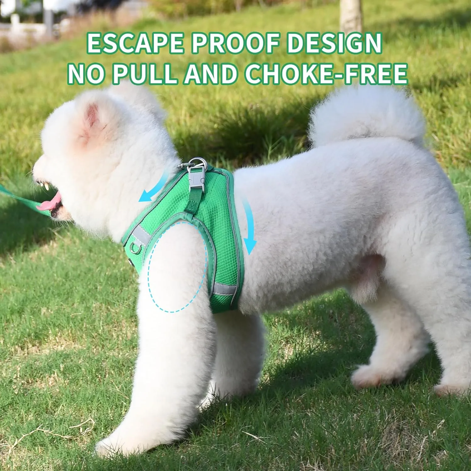 AIITLE No Pull Dog Harness and Leash Set, Step in Adjustable Dog Harness with Padded Vest for All Weather, Reflective Pet Harness, Easy to Put on Small Dogs Green S