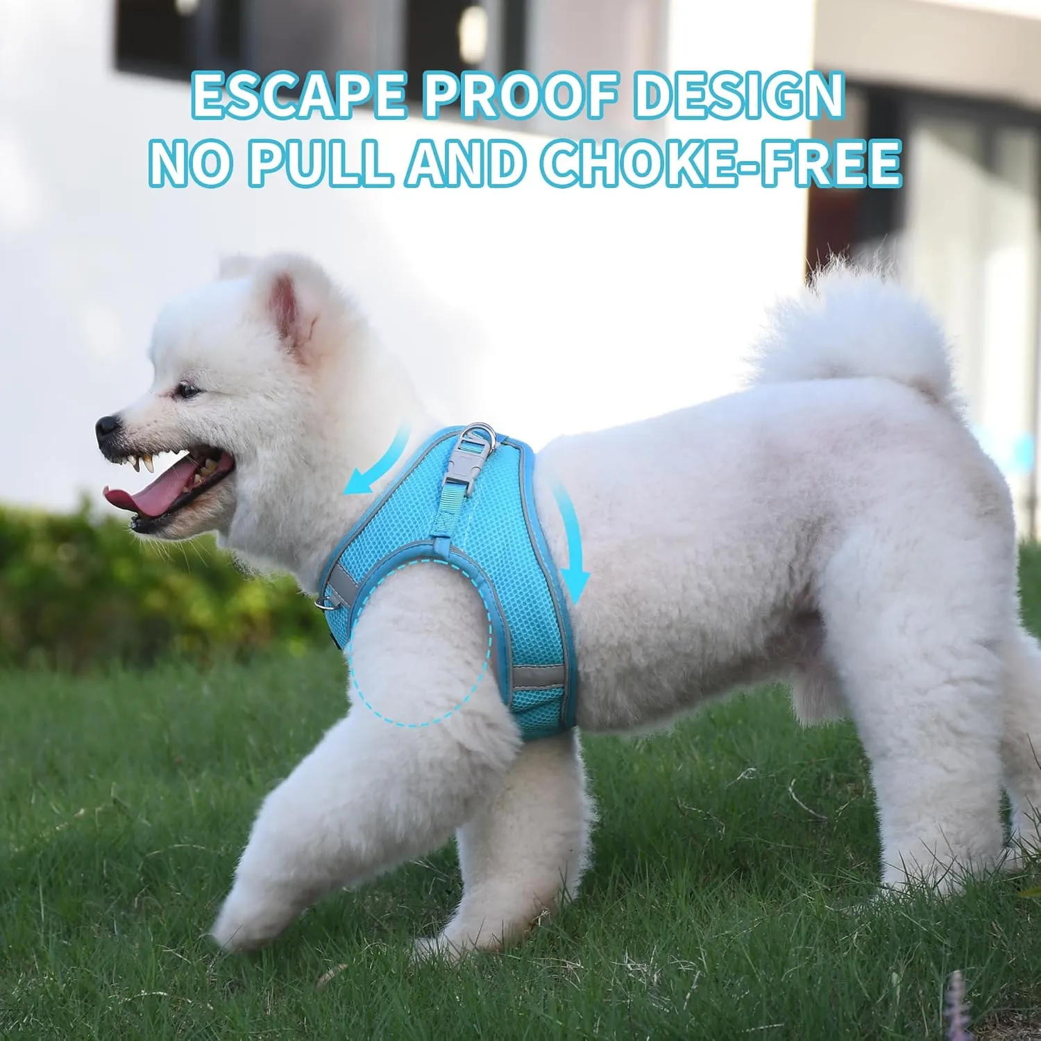 AIITLE Small Dog Harness, No-Pull Cat Harness with a Leash, Step in Adjustable Puppy Harness with Quick-Release Buckle, Reflective Outdoor Pet Vest for Extra Small Dogs and House Cats Blue XXS