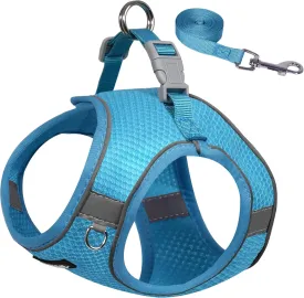 AIITLE Small Dog Harness, No-Pull Cat Harness with a Leash, Step in Adjustable Puppy Harness with Quick-Release Buckle, Reflective Outdoor Pet Vest for Extra Small Dogs and House Cats Blue XXS