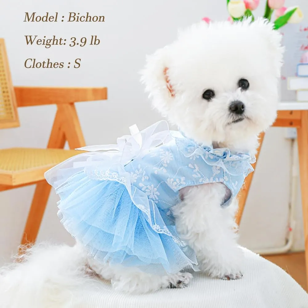 ANIAC Daisy Small Dog Dresses Female with Leash Ring,Bow Knot Girl Puppy Wedding Dress,Valentine's Cat Outfit,Fancy Pet Party Dress for Kitten Chihuahua Yorkie Pomeranian (Blue, X-Small)