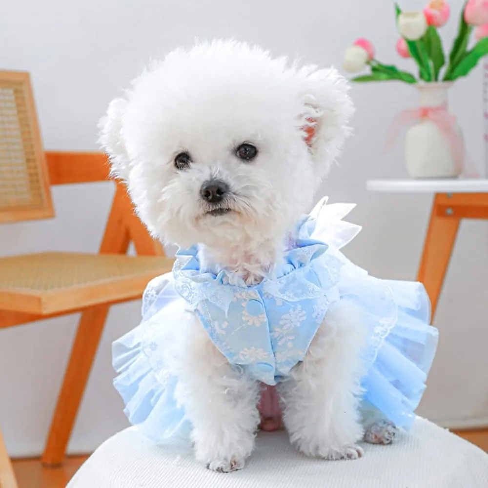 ANIAC Daisy Small Dog Dresses Female with Leash Ring,Bow Knot Girl Puppy Wedding Dress,Valentine's Cat Outfit,Fancy Pet Party Dress for Kitten Chihuahua Yorkie Pomeranian (Blue, X-Small)