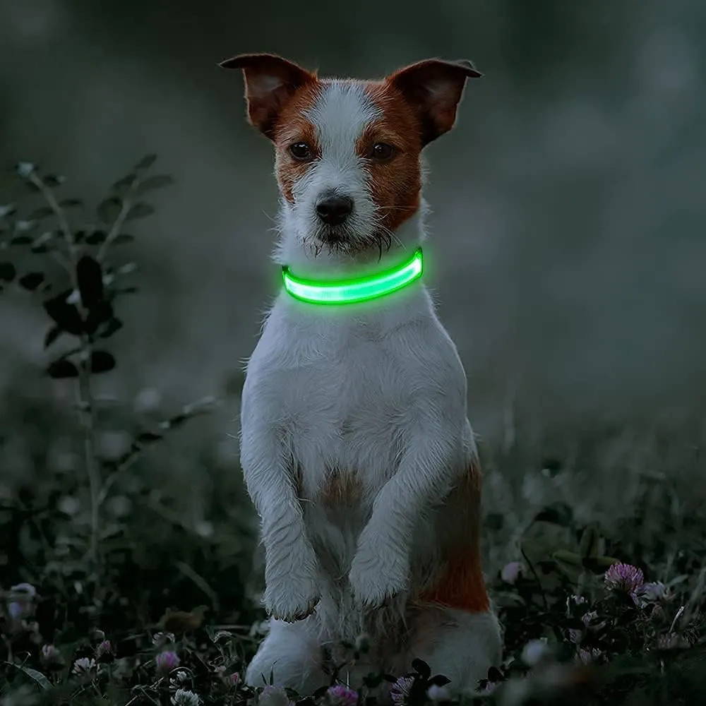 BSEEN Light Up Dog Collar, Rechargeable LED Dog Collar Reflective Pet Glow Collar Dog Lights for Night Walking (Neon Green, Medium)