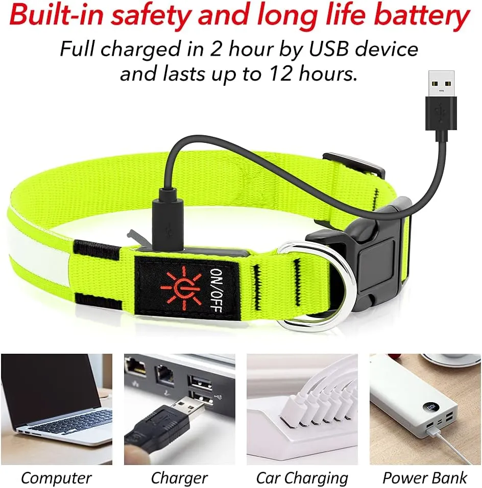 BSEEN Light Up Dog Collar, Rechargeable LED Dog Collar Reflective Pet Glow Collar Dog Lights for Night Walking (Neon Green, Medium)