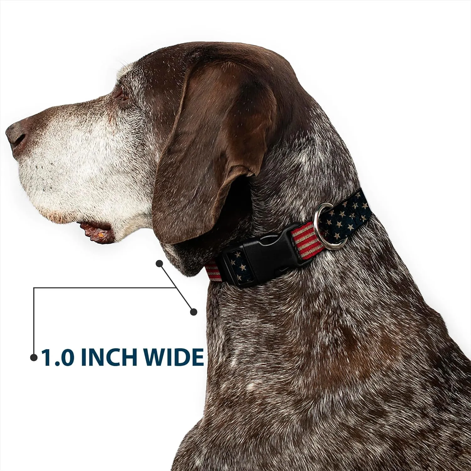 Buckle-Down Plastic Clip Collar - Vintage US Flag Stretch - 1/2" Wide - Fits 8-12" Neck - Medium