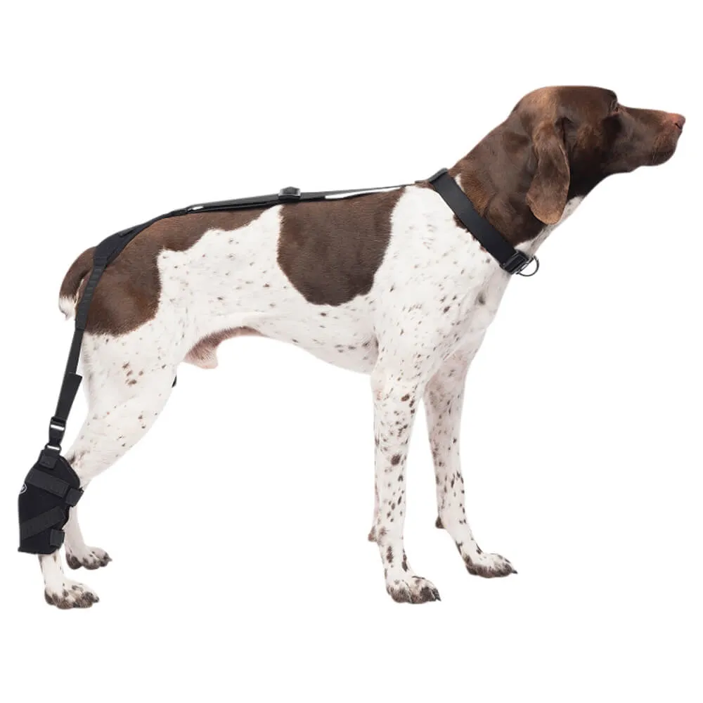 Caldera Pet Therapy Tarsal Wrap with Therapy Gel