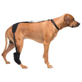 Caldera Pet Therapy Tarsal Wrap with Therapy Gel