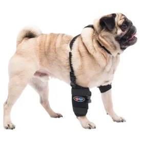 Caldera Pet Universal Therapy Carpal/Elbow Wrap with Therapy Gel
