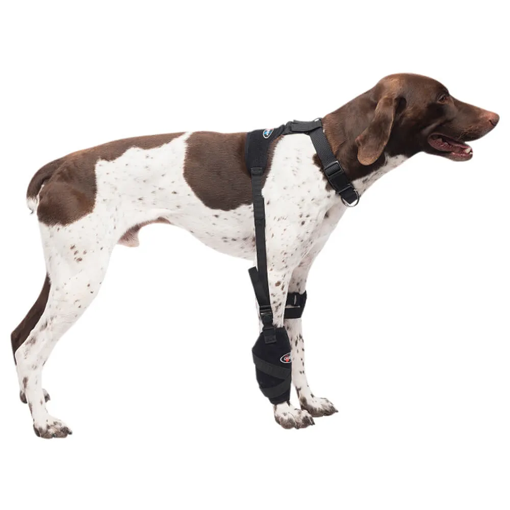 Caldera Pet Universal Therapy Carpal/Elbow Wrap with Therapy Gel
