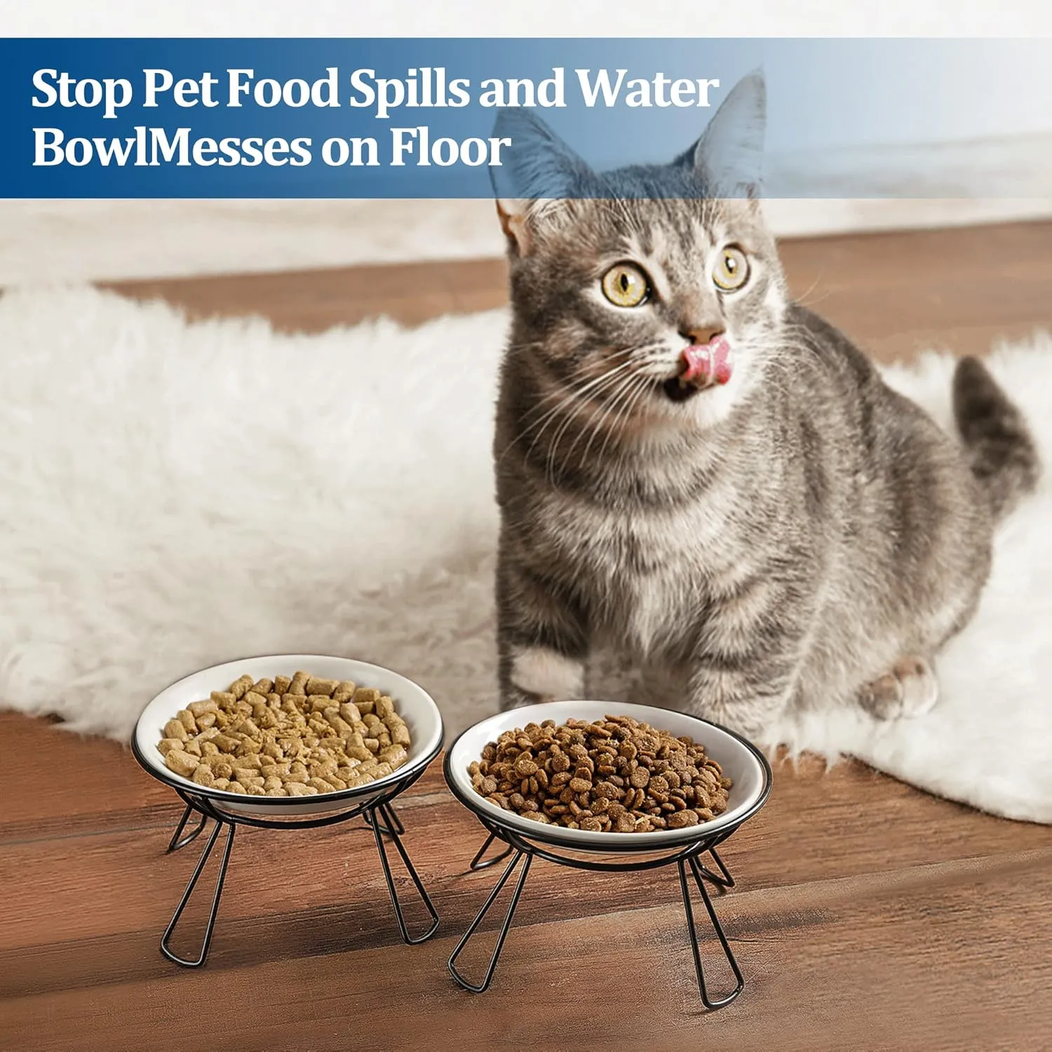 Cat Bowls, Elevated Bowl, Raised Ceramic Dish with Metal Stand, Pet Water or Food Feeding Station for Indoor Cats, Kitten, Puppies and Small Dogs(2 Pack)