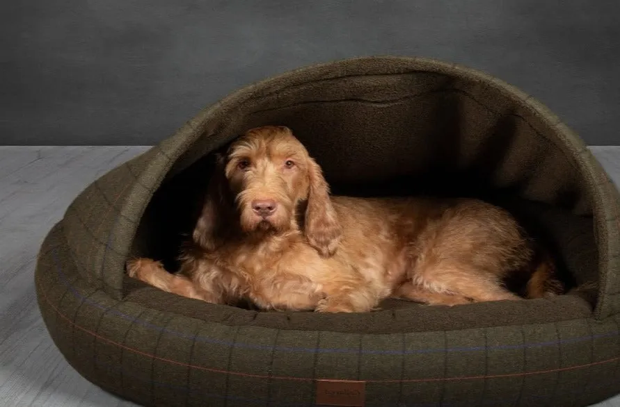 Deluxe Cocoon bed
