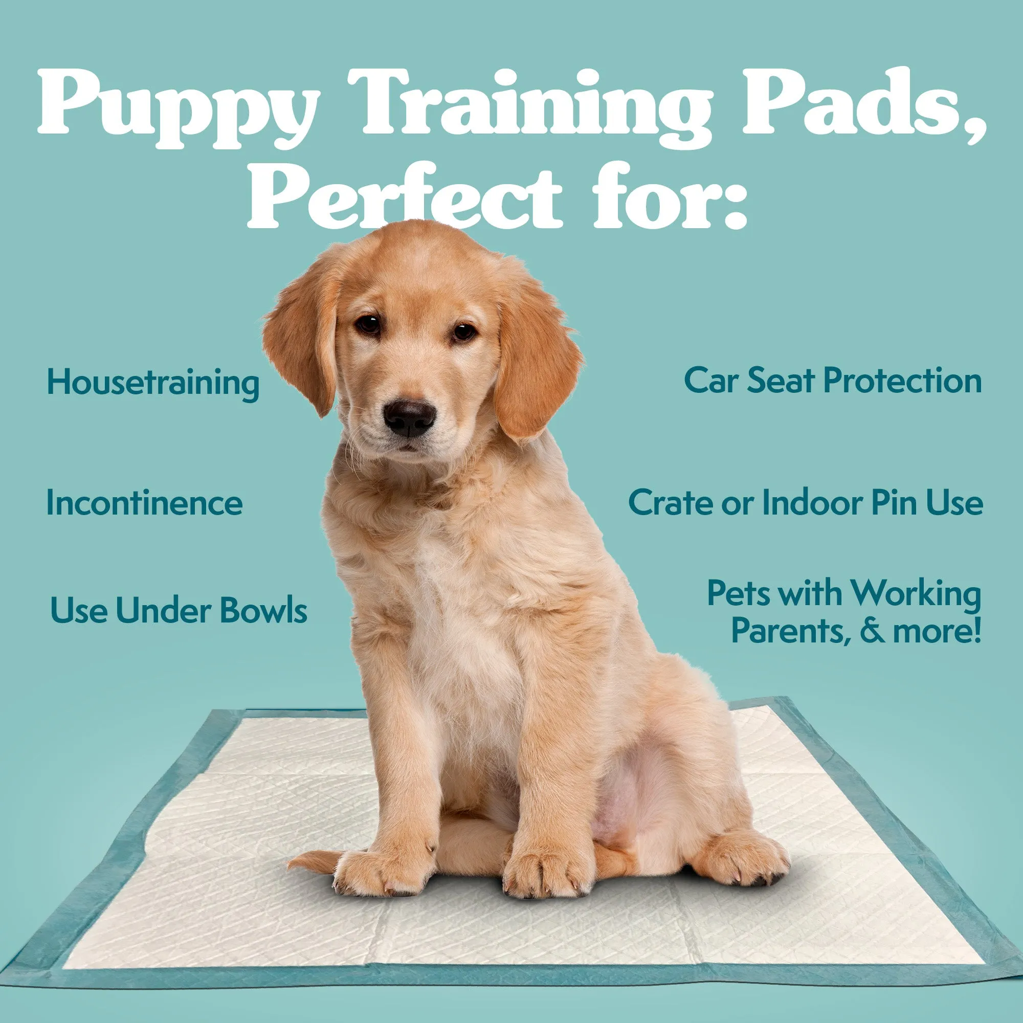 Disposable Training Dog Pads