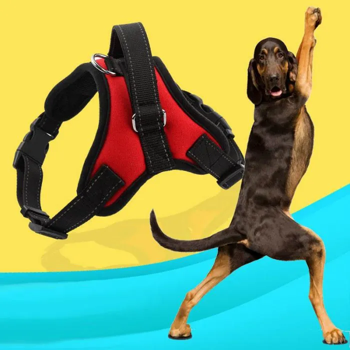 Dog Harness with Reflective Tape, Breathable Mesh and Leash
