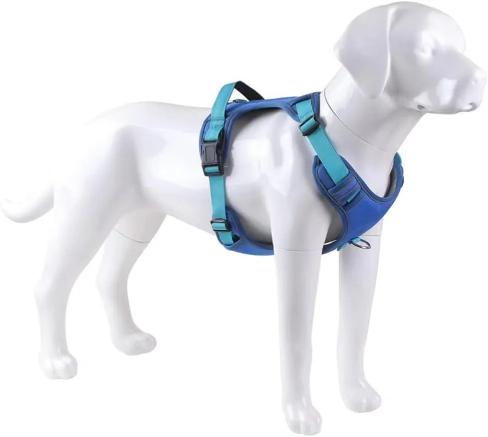 Dog Harness,Escape Proof Dog Harness, Pet Harness with Leash,Adjustable Soft Padded Dog Vest, Reflective No-Choke Pet Oxford Vest, Strong and Durable Pet Carrier (Bule, Medium)