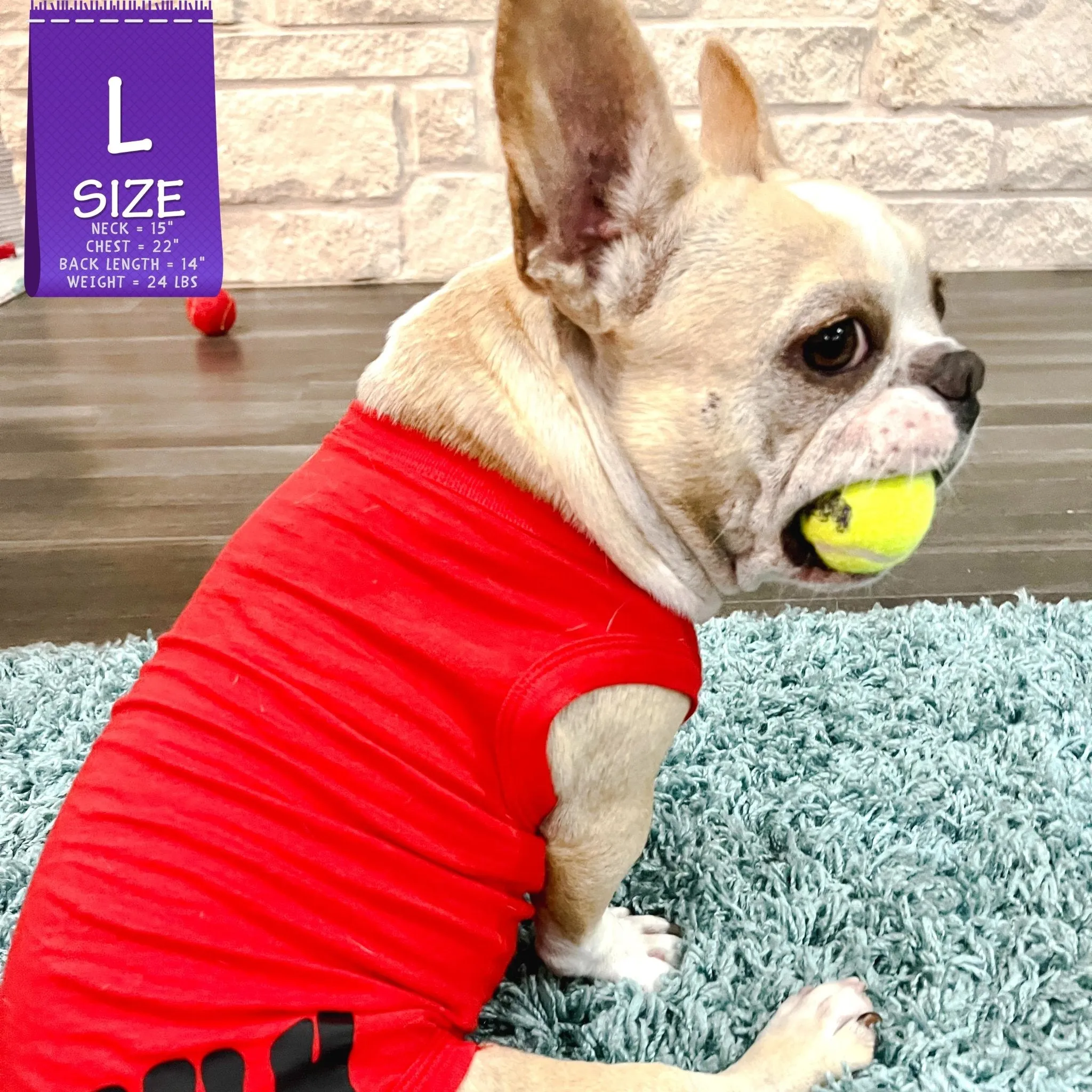 Dog T-Shirt | BRUH