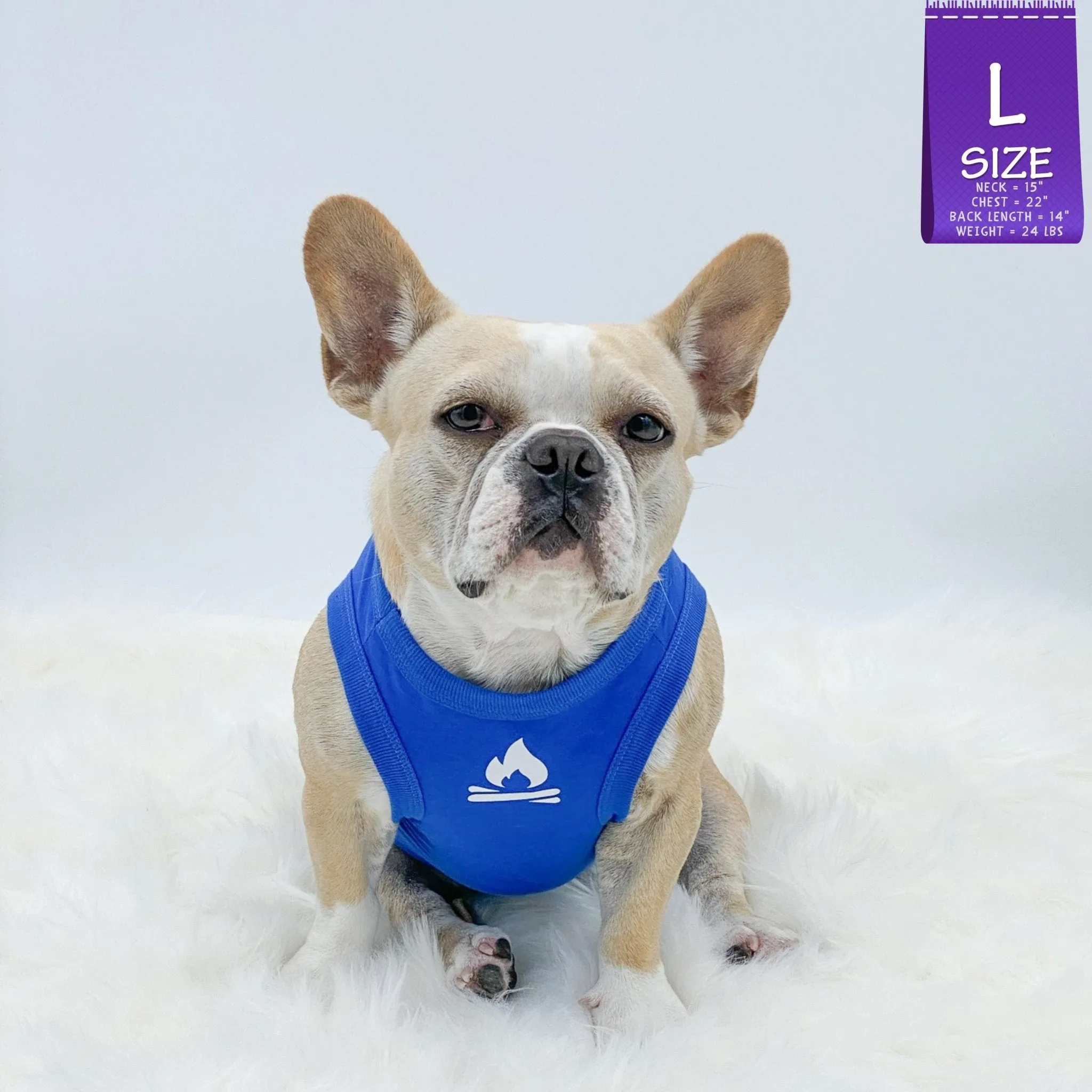 Dog T-Shirt | Happy Camper