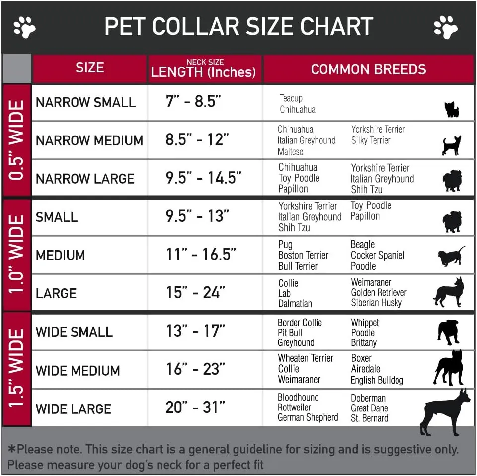 Fleischer Studios, Inc. Pet Collar, Dog Collar Plastic Buckle, Betty Boop Angel and Devil Poses with Text Black White Red, 11 to 16.5 Inches 1.0 Inch Wide