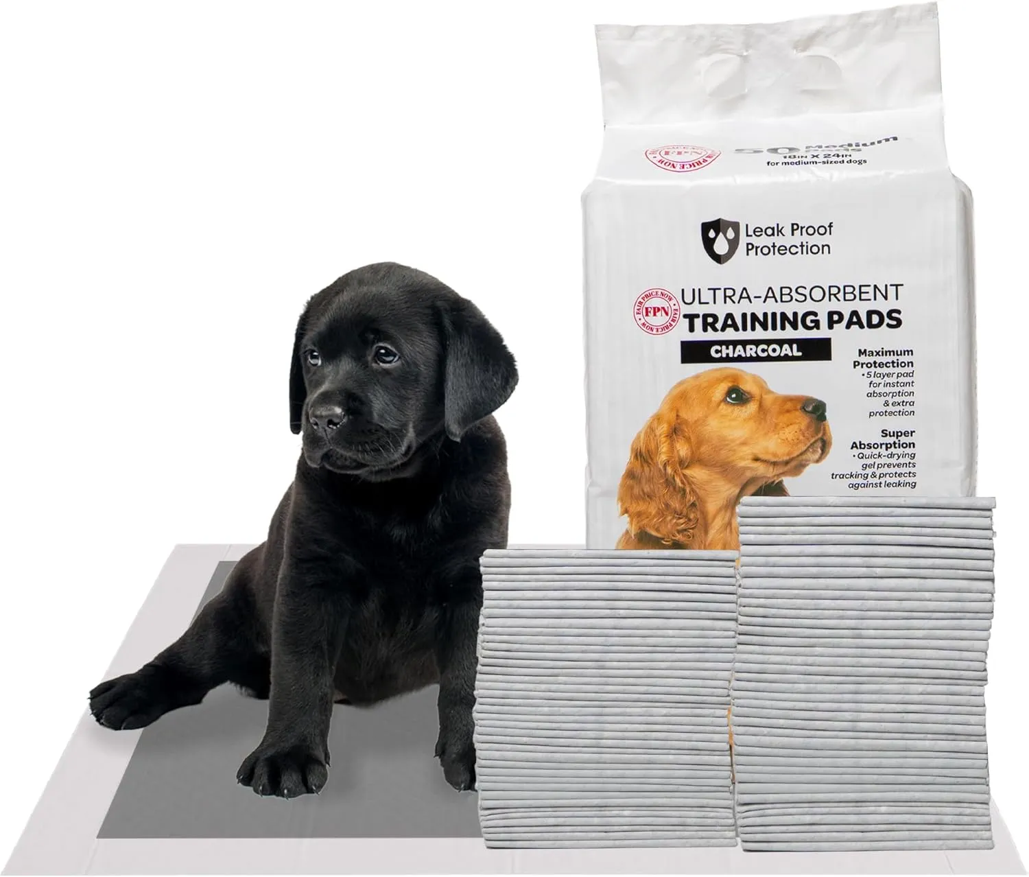 FPN Charcoal Puppy Pads 18"x24" | 50 Count | Odor-Control Super Absorbent 5-Layer Leak-Proof Disposable Pee Pads for Dogs, Cats & Rabbits  Ideal for All Pets