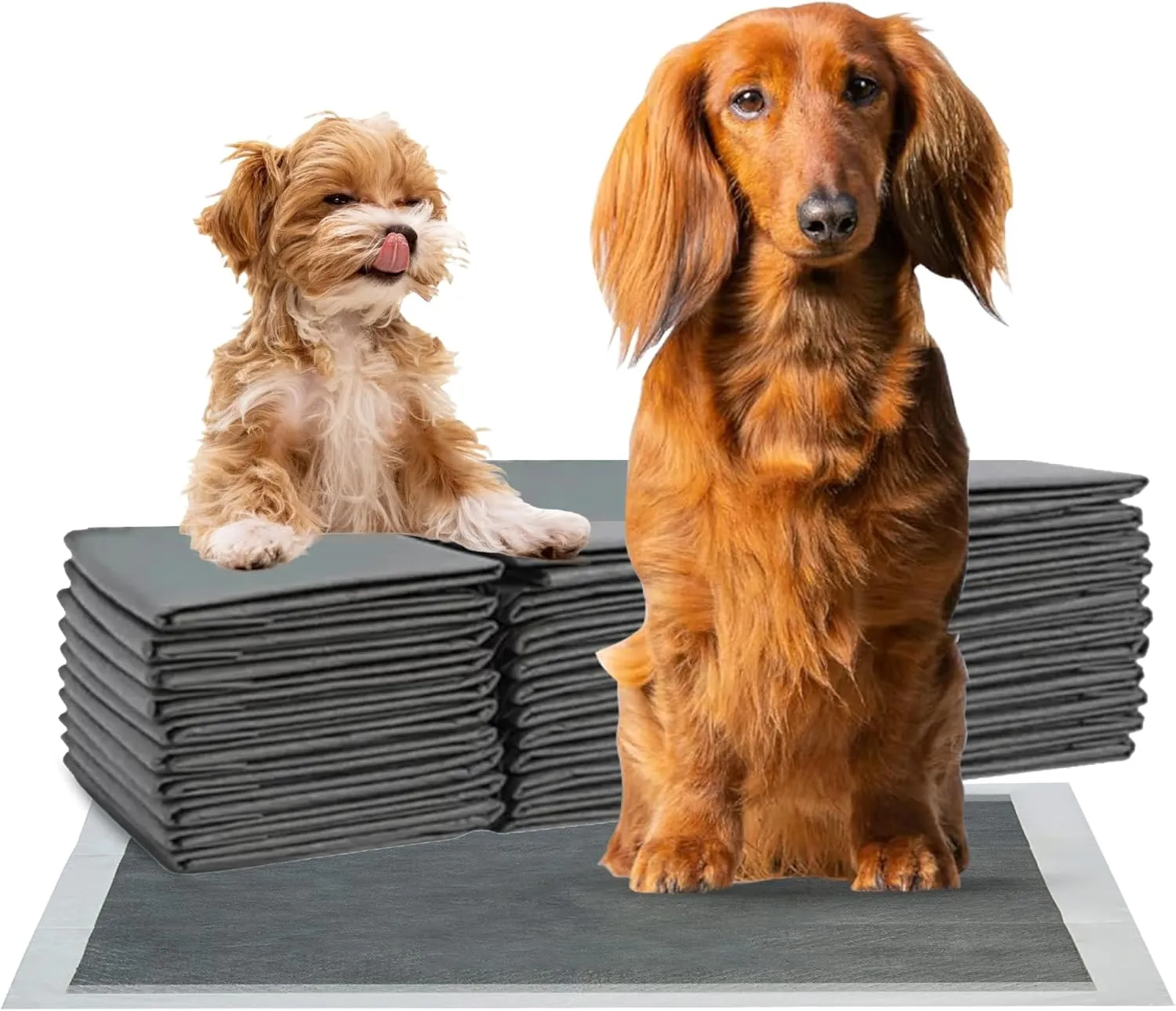 FPN Charcoal Puppy Pee Pads for Dogs | 13x18 Inches | 300 Count | Extra Absorbent | Heavy Duty Dog Pad | 5 Layer Puppie Pads for Instant Absorption, (Small)