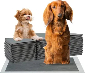 FPN Charcoal Puppy Pee Pads for Dogs | 13x18 Inches | 300 Count | Extra Absorbent | Heavy Duty Dog Pad | 5 Layer Puppie Pads for Instant Absorption, (Small)