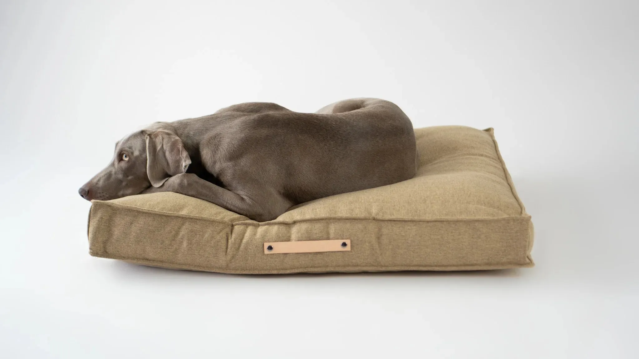 Labbvenn MØVIK Dog Cushion