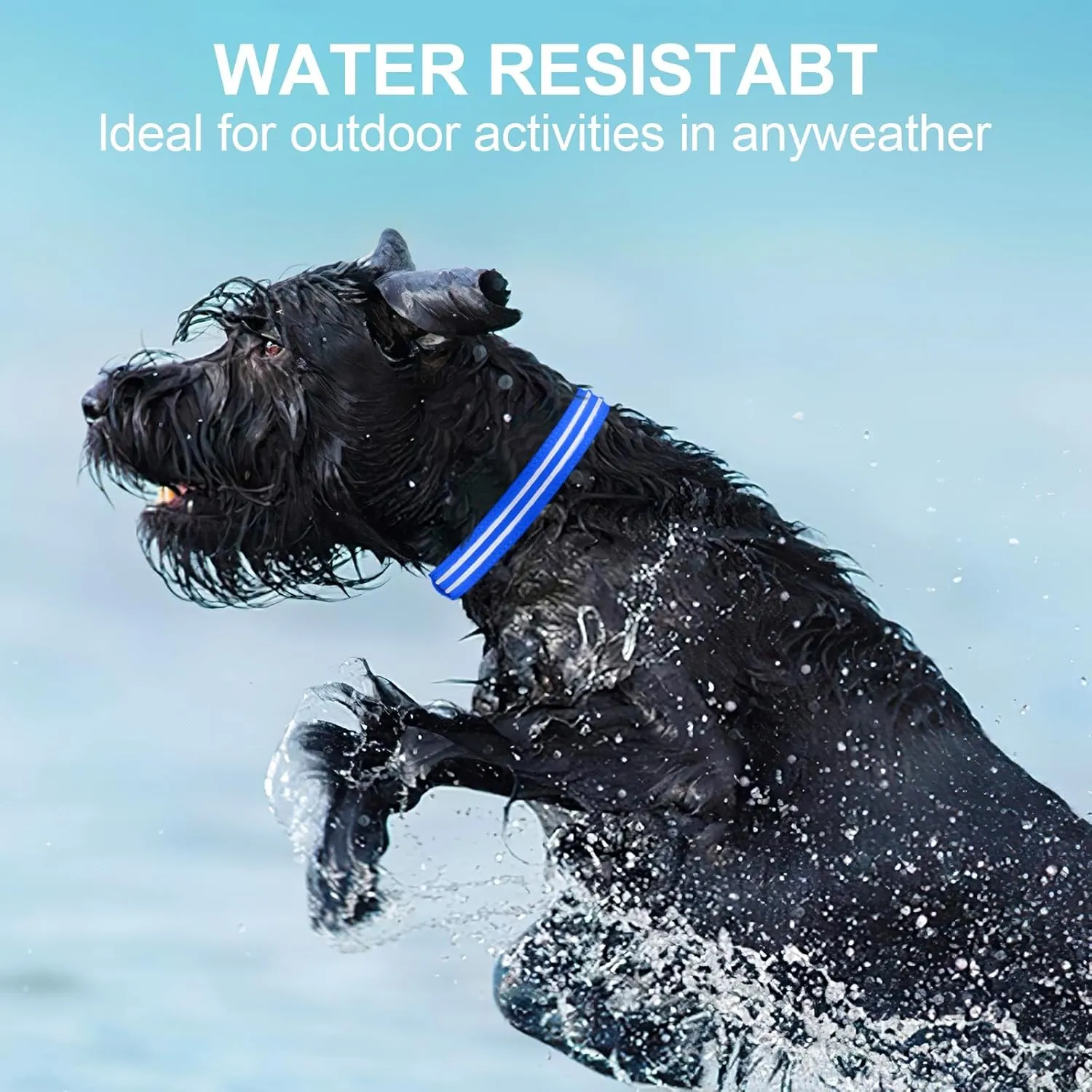 Light up Dog Collar, LED Dog Collar for Large Medium Small Dogs Rechargeable LED Lighted Dog Collar for Night Walking, Waterproof Neon Comfortable Mesh Safety Flashing Lighted up Dog Collar
