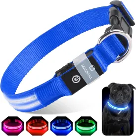 Light up Dog Collar, LED Dog Collar for Large Medium Small Dogs Rechargeable LED Lighted Dog Collar for Night Walking, Waterproof Neon Comfortable Mesh Safety Flashing Lighted up Dog Collar