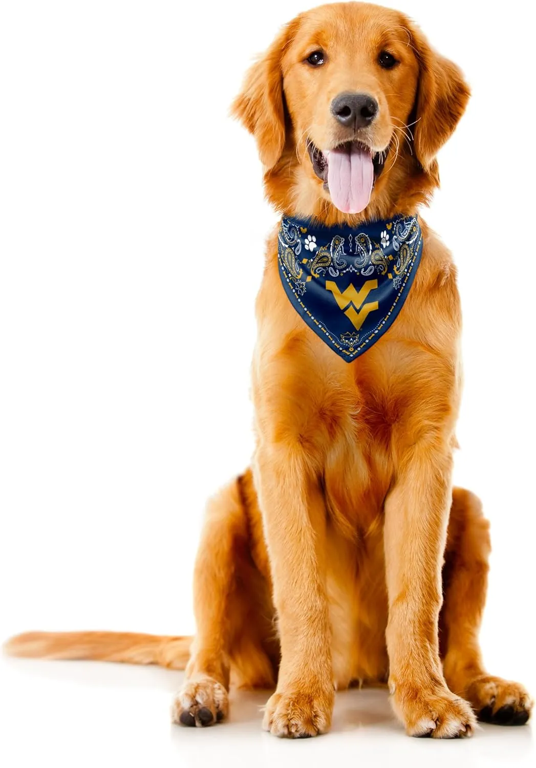 Littlearth NCAA Pet Bandana - Reversible