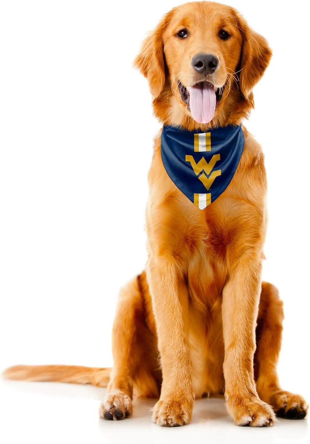 Littlearth NCAA Pet Bandana - Reversible