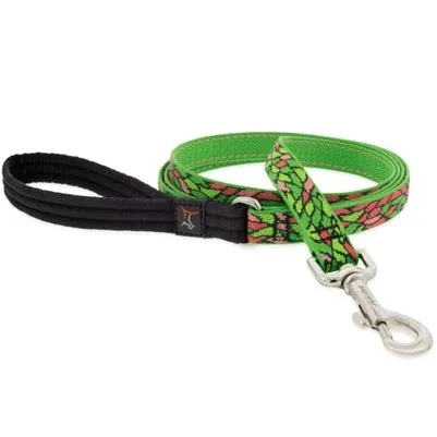 Lupine Pet Dog Leash 3/4" x 6' Tiffany