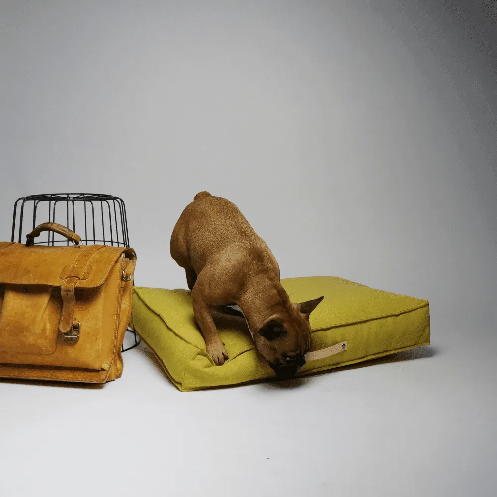MØVIK Luxury Dog Bed by Labbvenn in Honey