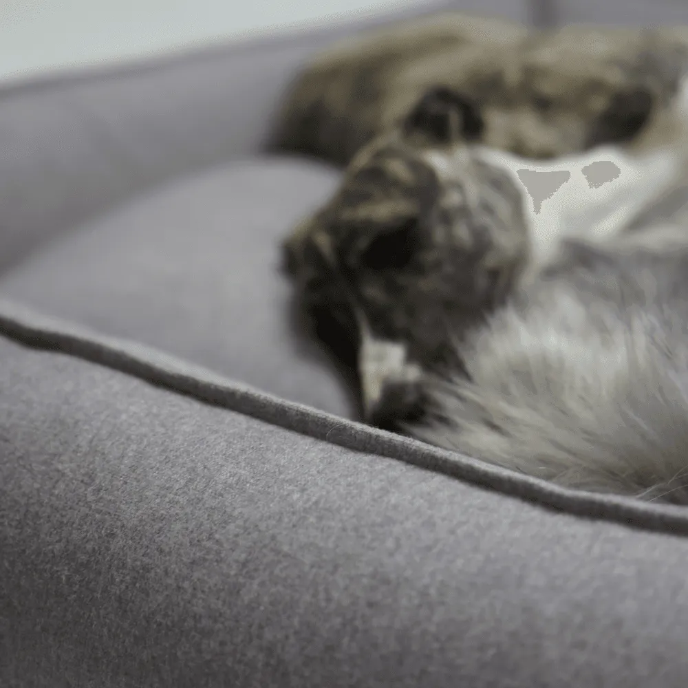 MØVIK Luxury High Side Dog Bed by Labbvenn in Grey