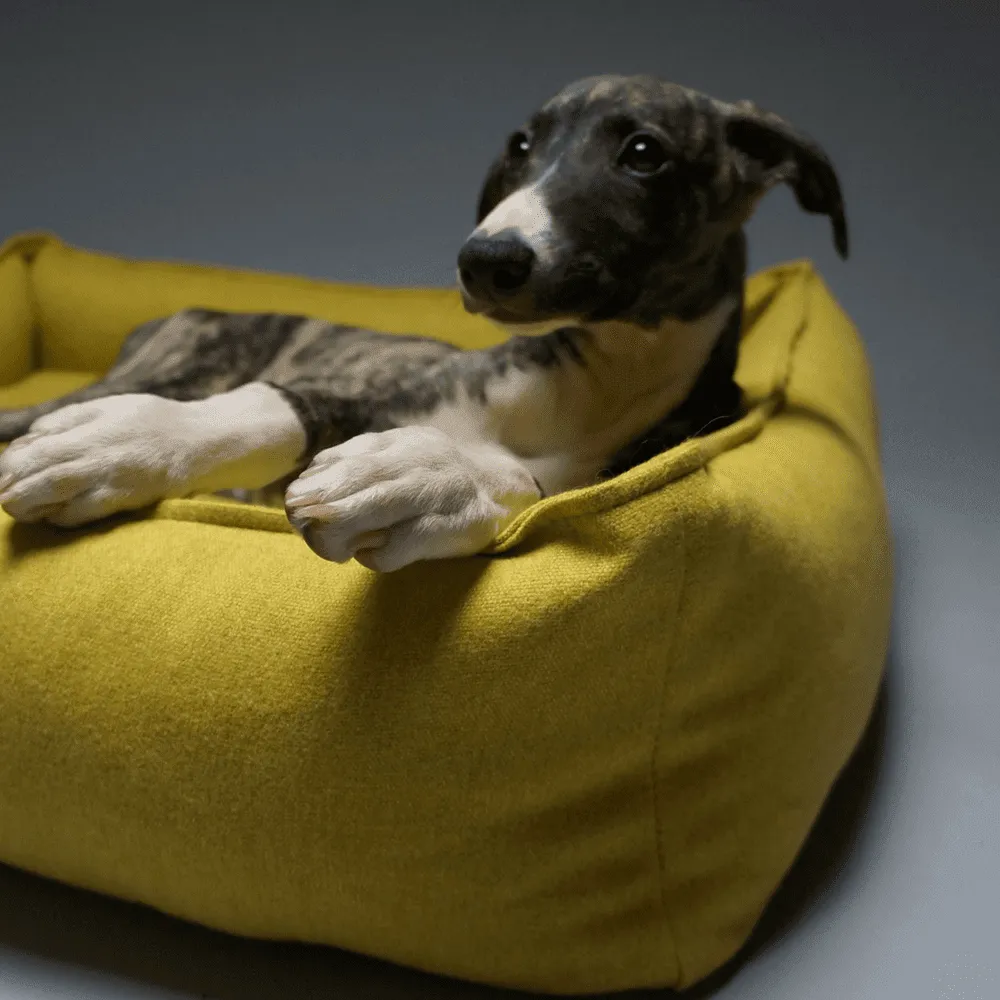 MØVIK Luxury High Side Dog Bed by Labbvenn in Honey