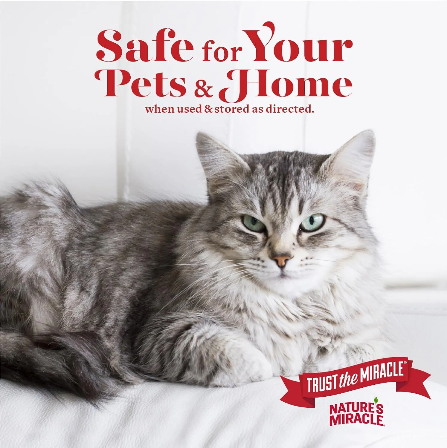 Natures Miracle Advanced Stain and Odor Eliminator Cat, For Severe Cat Messes