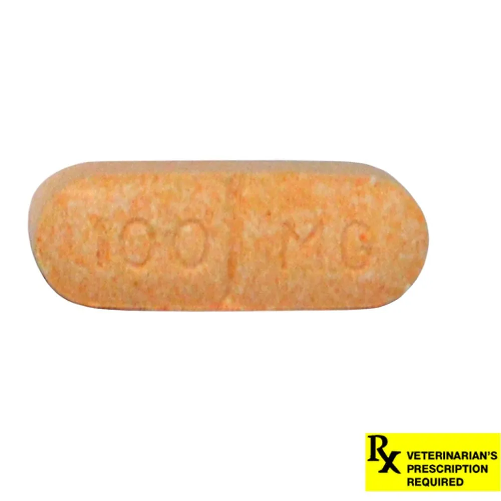 Novox (carprofen) Caplets for Dogs