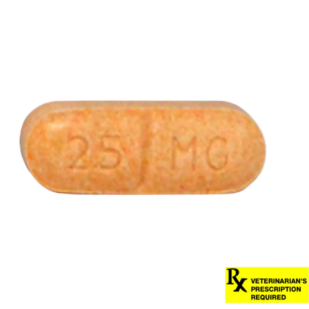 Novox (carprofen) Caplets for Dogs