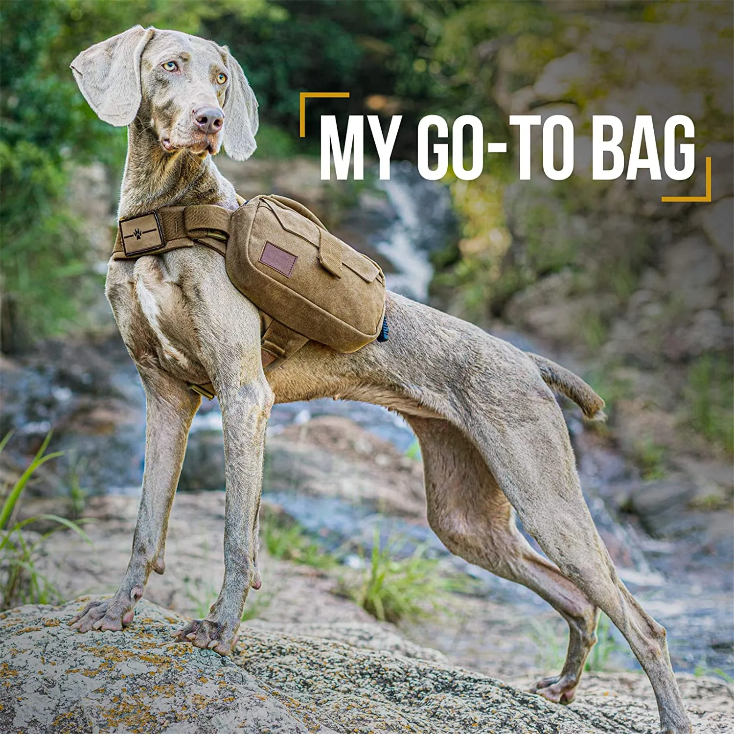 Onetigris Dog Pack Hound Travel Camping Hiking Backpack Saddle Bag Rucksack for Medium & Large Dog