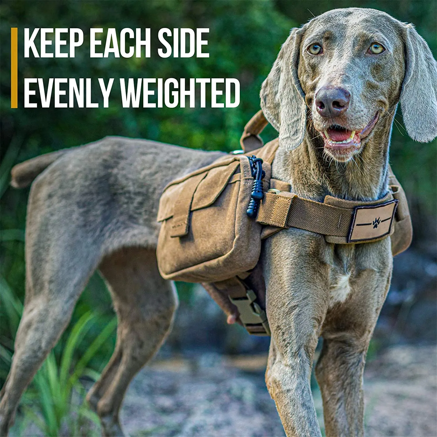 Onetigris Dog Pack Hound Travel Camping Hiking Backpack Saddle Bag Rucksack for Medium & Large Dog