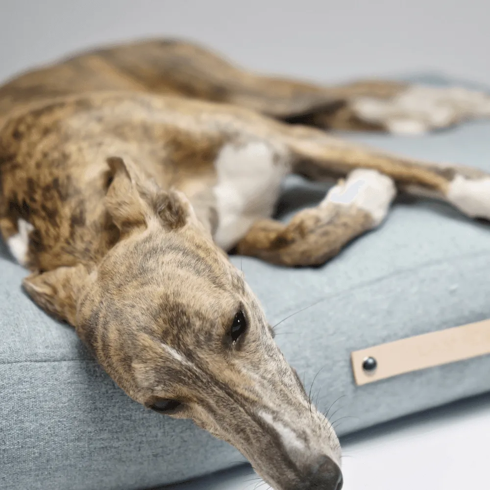 Oslo Luxury Dog Bed by Labbvenn in Cloud