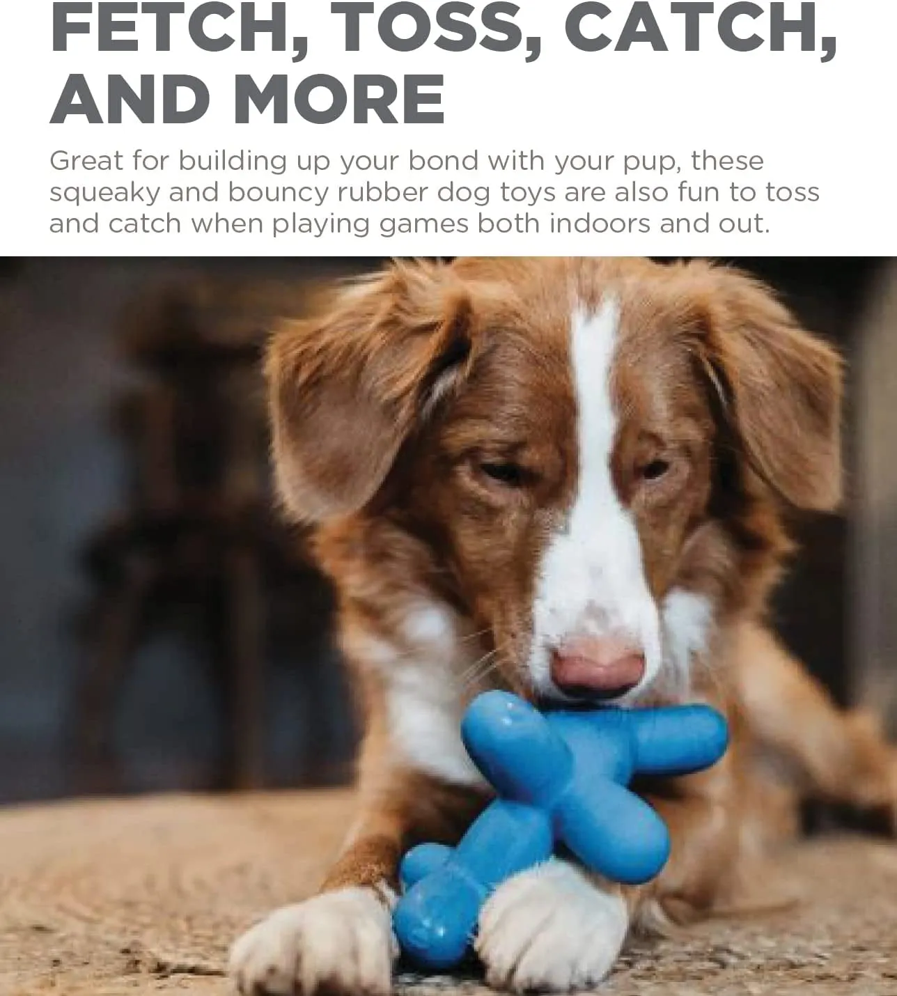 Outward Hound Latex Rubber Balloon Dog Squeaky Dog Toy, Large