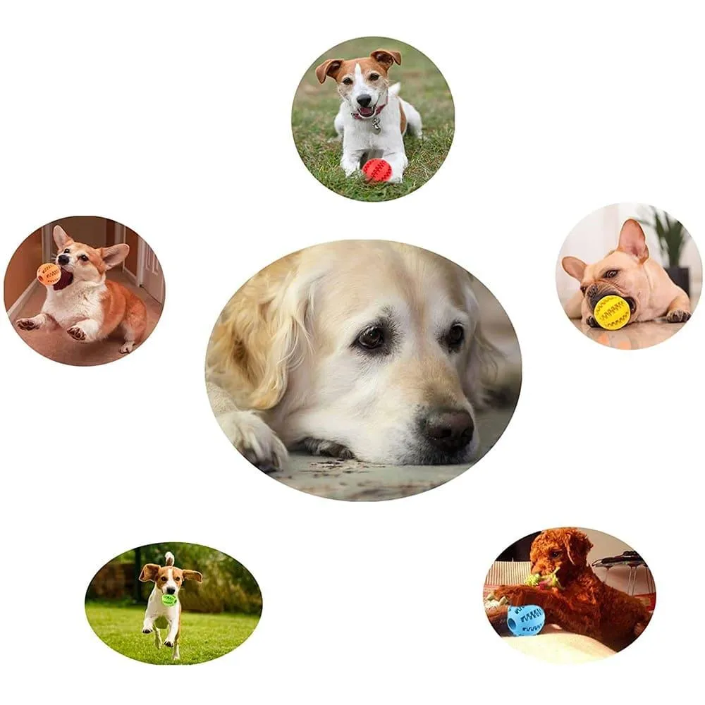 Perfect Funny Toy for Pet Puppies and Large Dogs