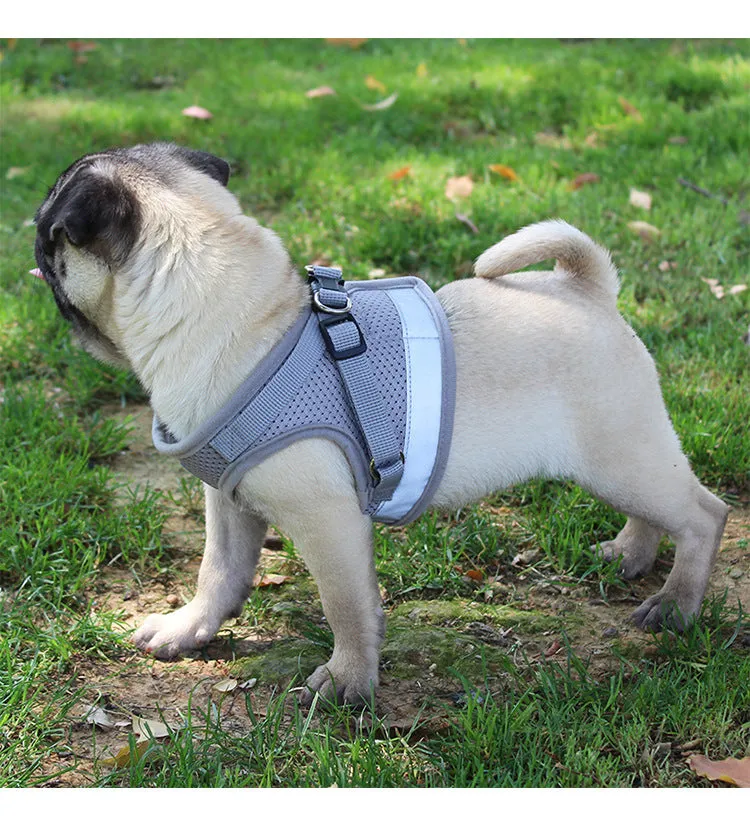 Pet Harness dog cat chest strap Reflective vest pet leash