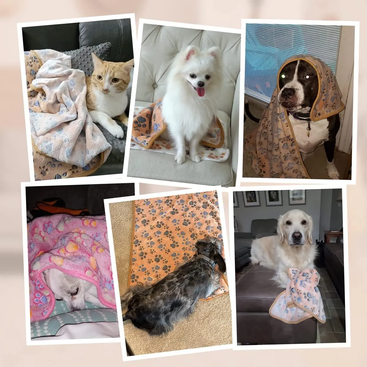 Pet Soft 1 Pack 3 Pet Blankets for Dogs - Fluffy Cats Dogs Blanket for Small Medium & Large Dog, Cute Print Pet Throw Puppy Blankets Fleece (Paws, 3S)