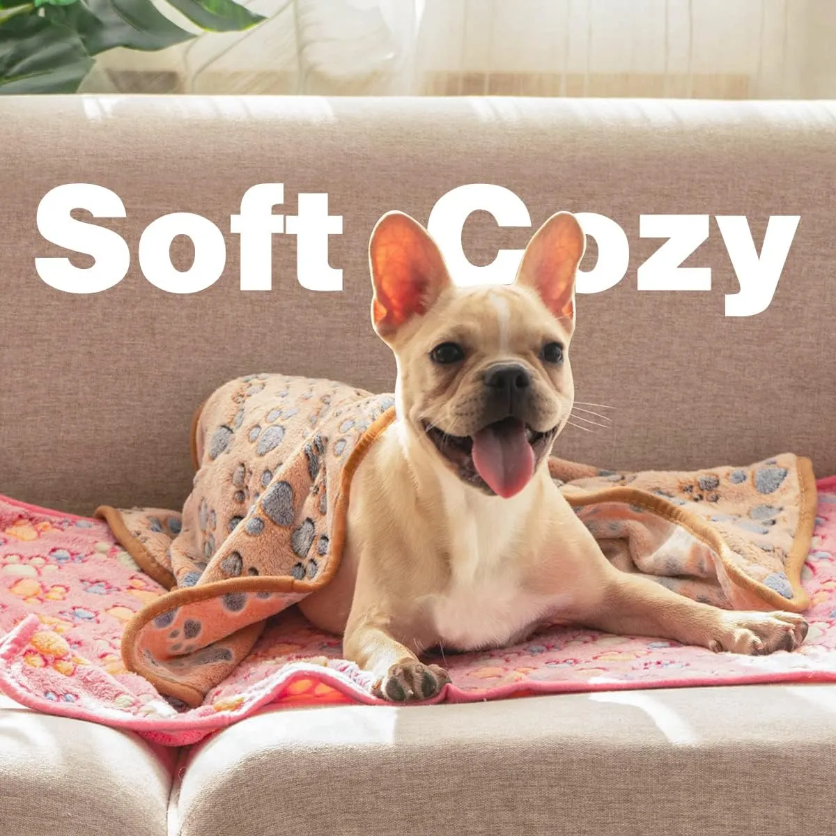 Pet Soft 1 Pack 3 Pet Blankets for Dogs - Fluffy Cats Dogs Blanket for Small Medium & Large Dog, Cute Print Pet Throw Puppy Blankets Fleece (Paws, 3S)
