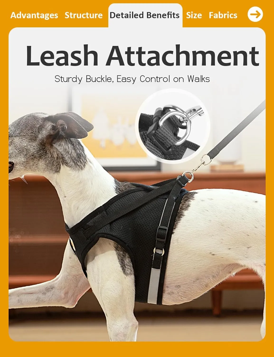Puppy Harness Cat Harnesses with Leashes Set for Walking, Lightweight Extra Small Dogs Cats Soft Mesh Vests with Reflective Strips, Adjustable Safety Escape Proof