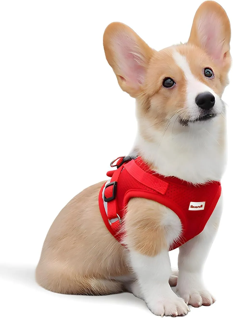 Puppy Harness Cat Harnesses with Leashes Set for Walking, Lightweight Extra Small Dogs Cats Soft Mesh Vests with Reflective Strips, Adjustable Safety Escape Proof
