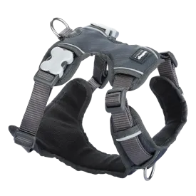 Red Dingo Padded Harness Grey S